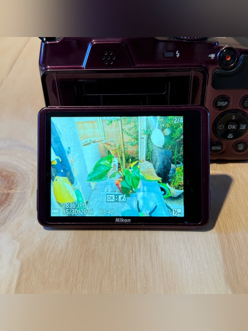 Nikon COOLPIX B500 Digital Camera Plum 16MP 40X Opt Zoom Tested Good w/Bat-Card! - Picture 8 of 15